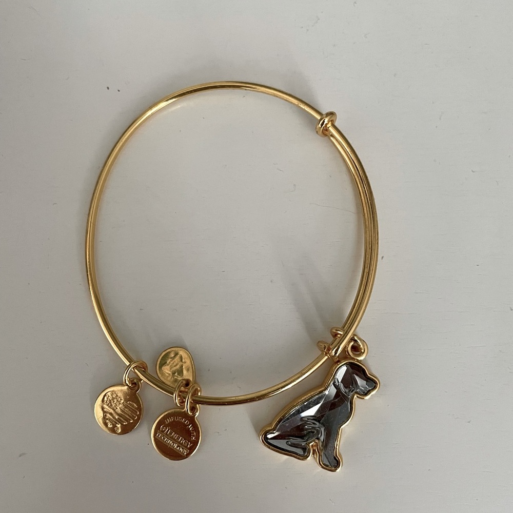 Alex and Ani Swarovski crystal dog charm bracelet